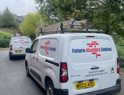 Mastic Company Exeter